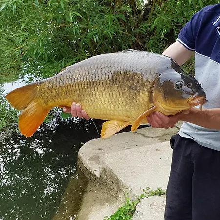Les Rives De * Montigny-sur-Loing