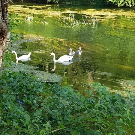 Les Rives De Apartment
